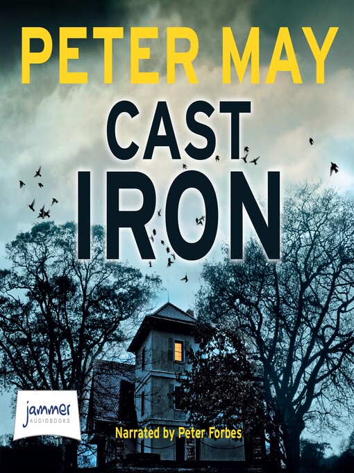 Cover image for Cast Iron
